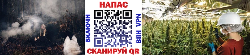 Бошки марихуана сатива Чехов